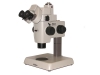 Nikon SMZ-U Stereo Microscope with Trinocular Port